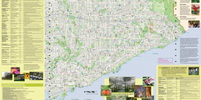Karte dārzi Toronto east
