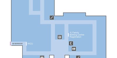 Map Svētā Jāzepa Veselības centrs Toronto OLM 1. līmenis