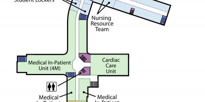 Map Svētā Jāzepa Veselības centrs Toronto 4. līmenis